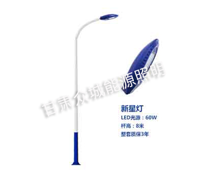 申扎爆款市电路灯